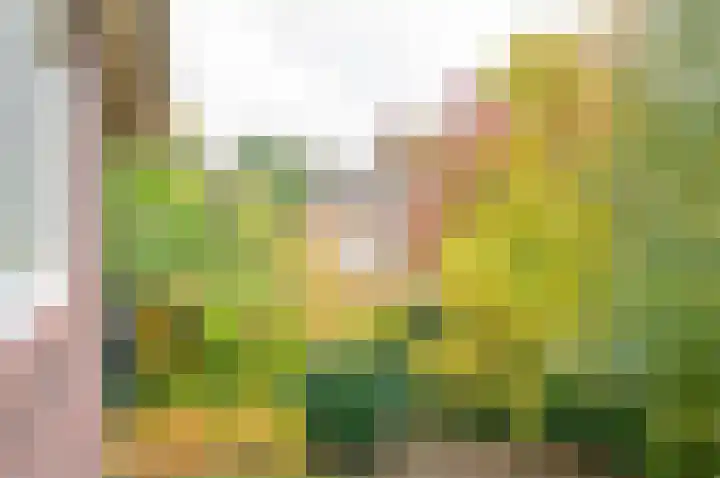 Waardeel 24 Drempt thumbnail 45