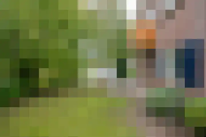 Waardeel 24 Drempt thumbnail 47