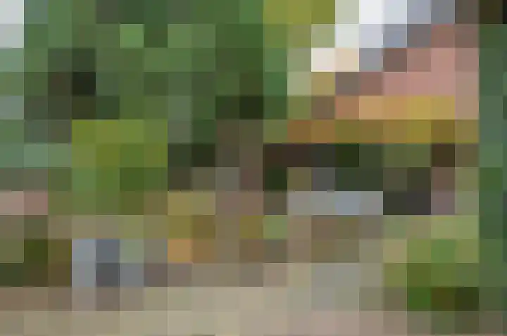 Waardeel 24 Drempt thumbnail 51