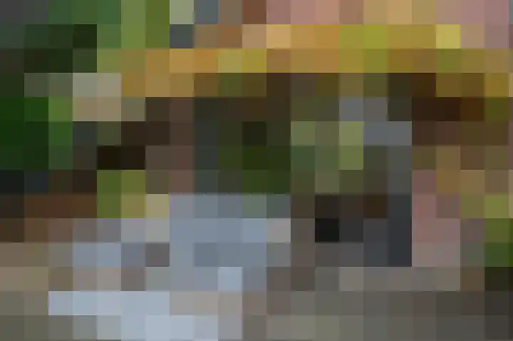 Waardeel 24 Drempt thumbnail 53