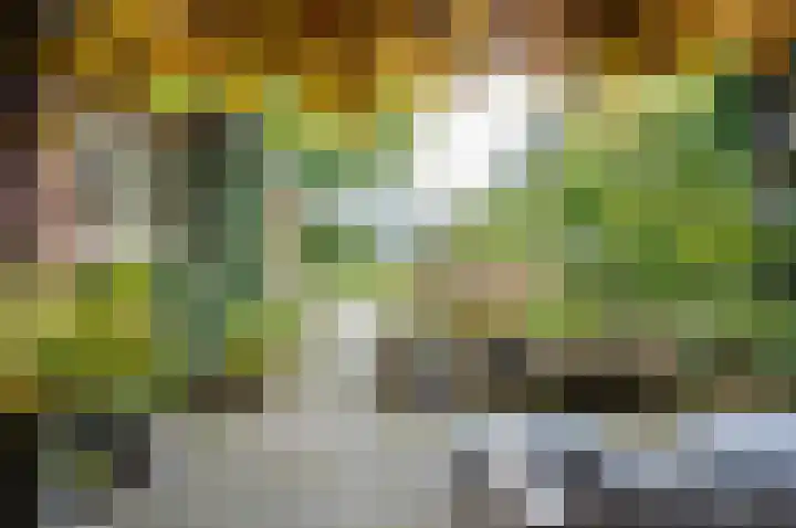 Waardeel 24 Drempt thumbnail 55