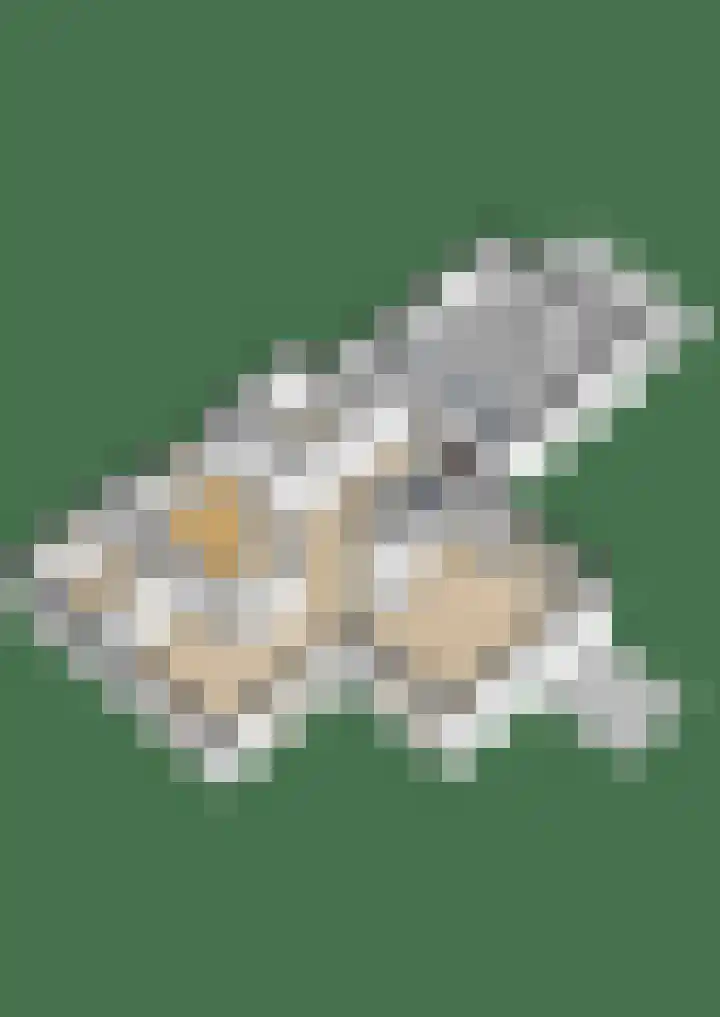 Waardeel 24 Drempt thumbnail 67