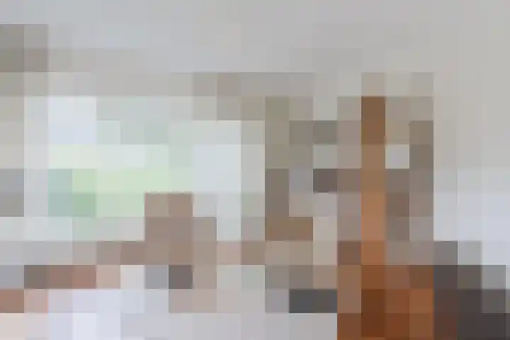 Waardeel 27 Rolde thumbnail 13