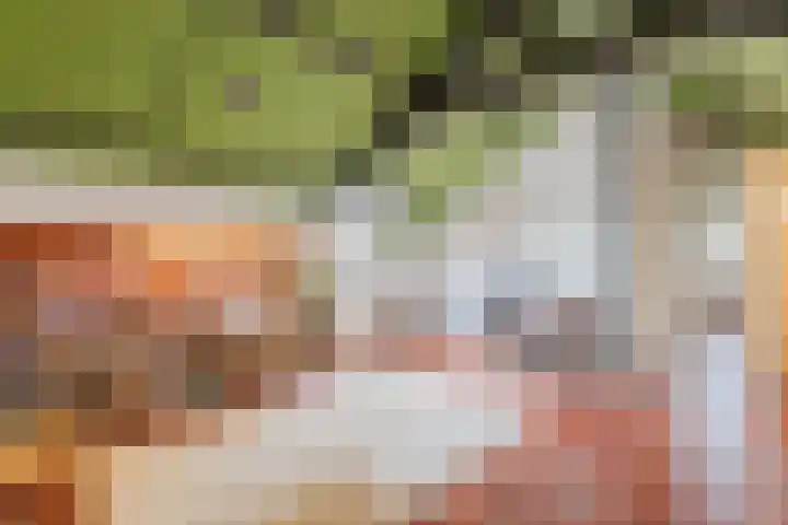 Waardeel 27 Rolde thumbnail 25
