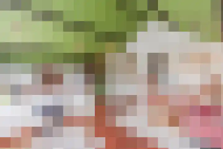 Waardeel 27 Rolde thumbnail 32