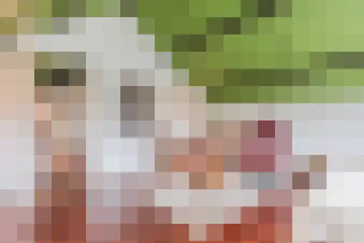 Waardeel 27 Rolde thumbnail 34