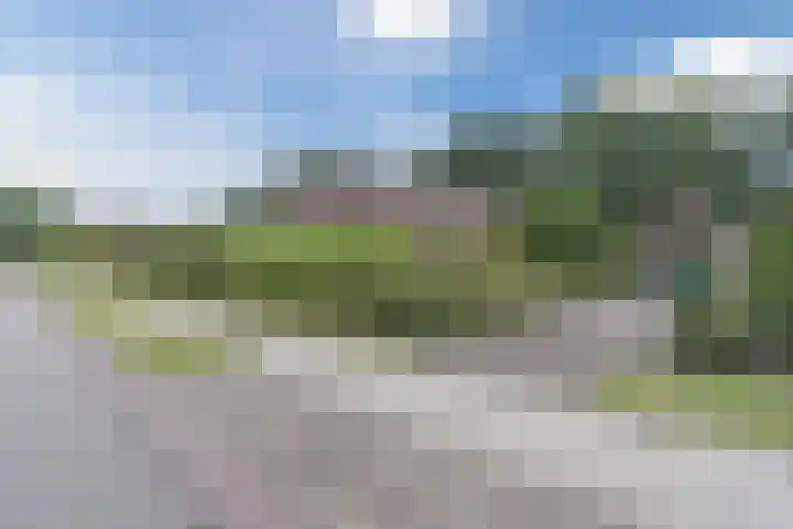 Waardeel 27 Rolde thumbnail 4