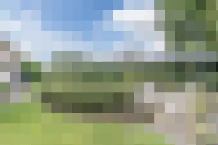 Waardeel 27 Rolde thumbnail 40
