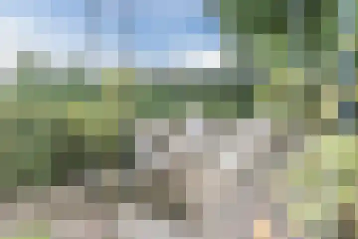 Waardeel 27 Rolde thumbnail 41