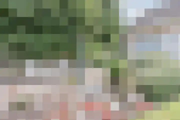 Waardeel 27 Rolde thumbnail 42