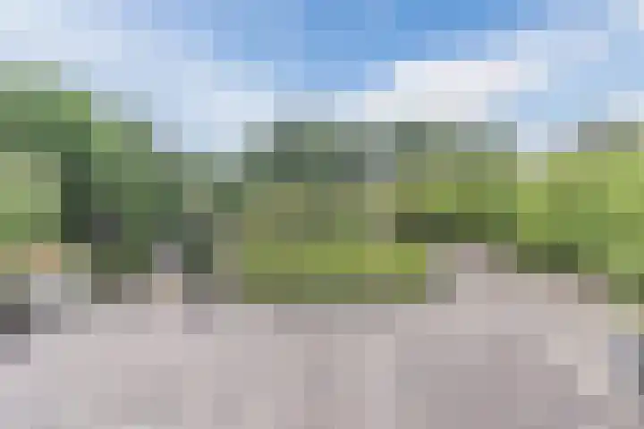 Waardeel 27 Rolde thumbnail 43