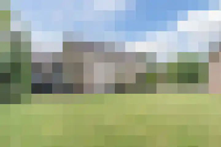 Waardeel 27 Rolde thumbnail 46