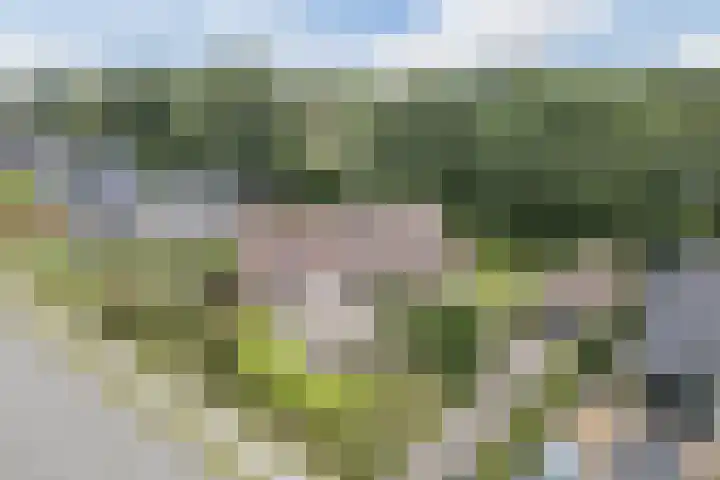 Waardeel 27 Rolde thumbnail 47