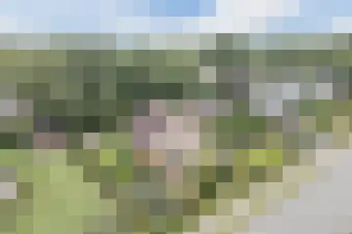Waardeel 27 Rolde thumbnail 48