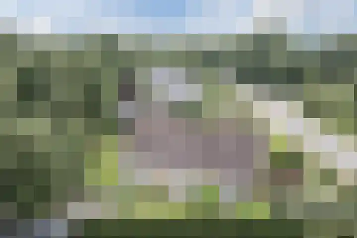 Waardeel 27 Rolde thumbnail 49