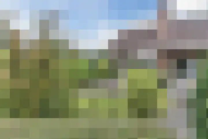 Waardeel 27 Rolde thumbnail 5
