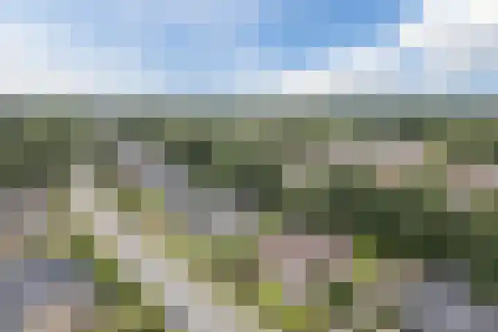 Waardeel 27 Rolde thumbnail 51