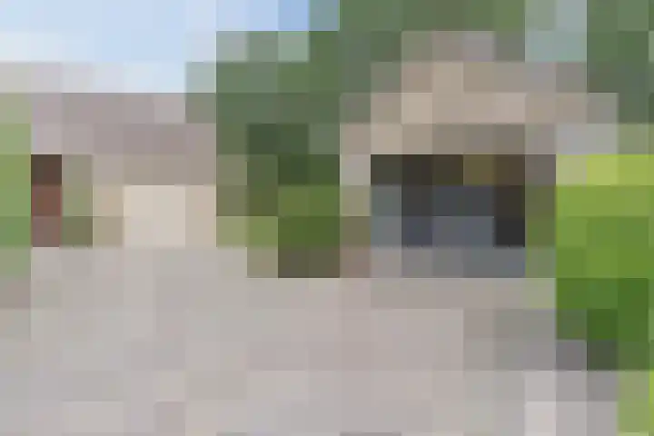 Waardeel 27 Rolde thumbnail 6