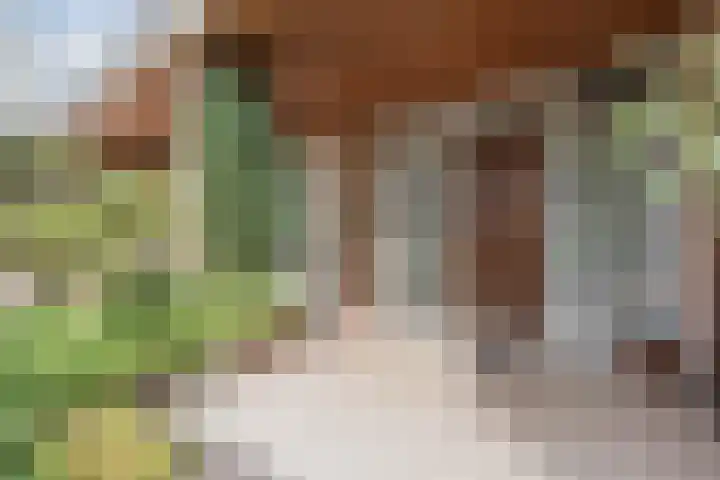 Waardeel 27 Rolde thumbnail 7