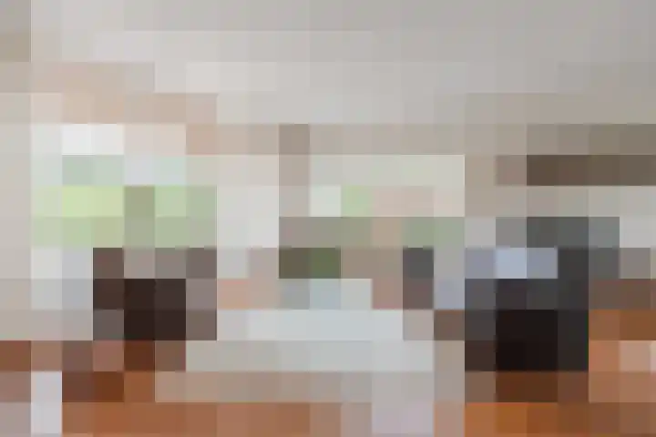 Waardeel 27 Rolde thumbnail 9