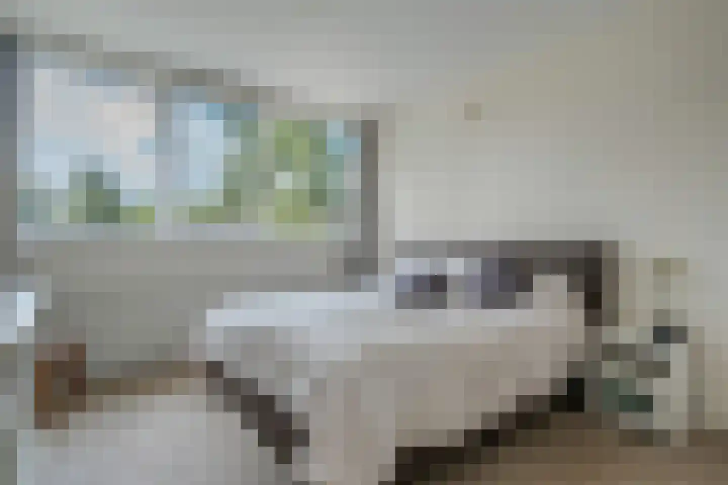 Waardeel 29 Steenwijk thumbnail 16