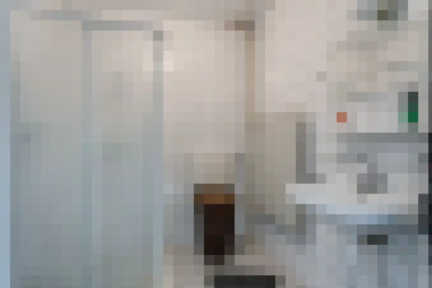 Waardeel 29 Steenwijk thumbnail 23