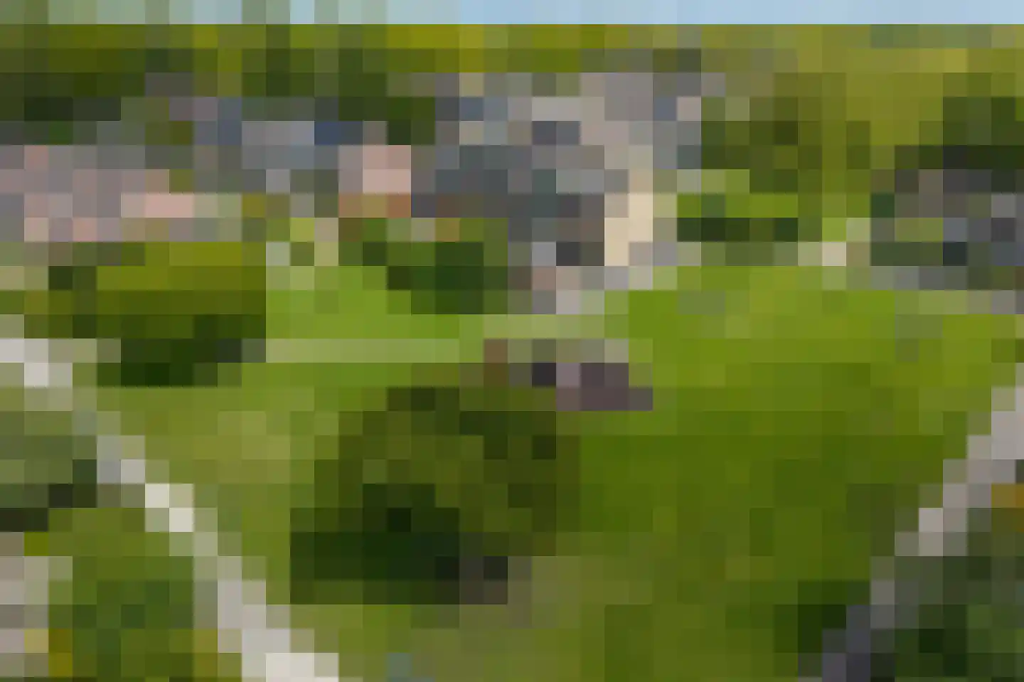 Waardeel 29 Steenwijk thumbnail 36