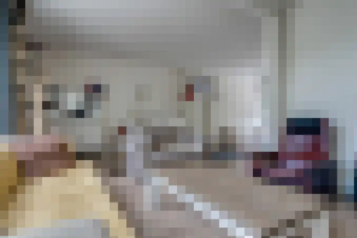 Waardeel 29 Steenwijk thumbnail 5