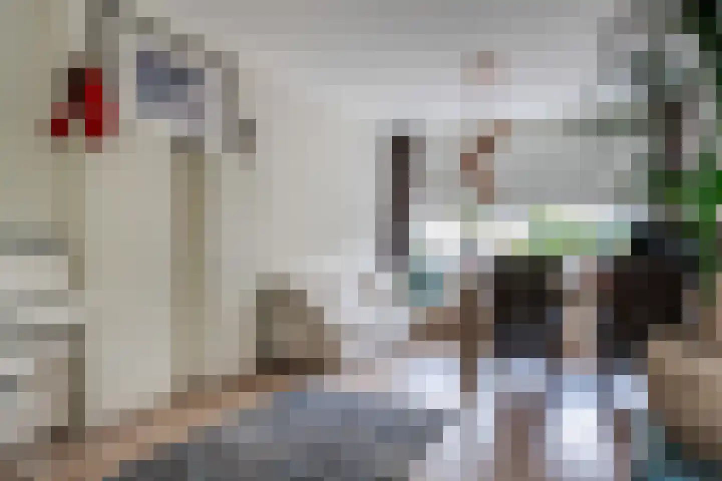 Waardeel 29 Steenwijk thumbnail 6