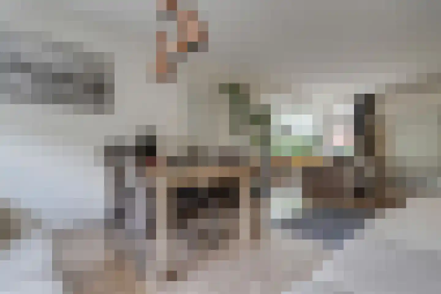 Waardeel 29 Steenwijk thumbnail 8