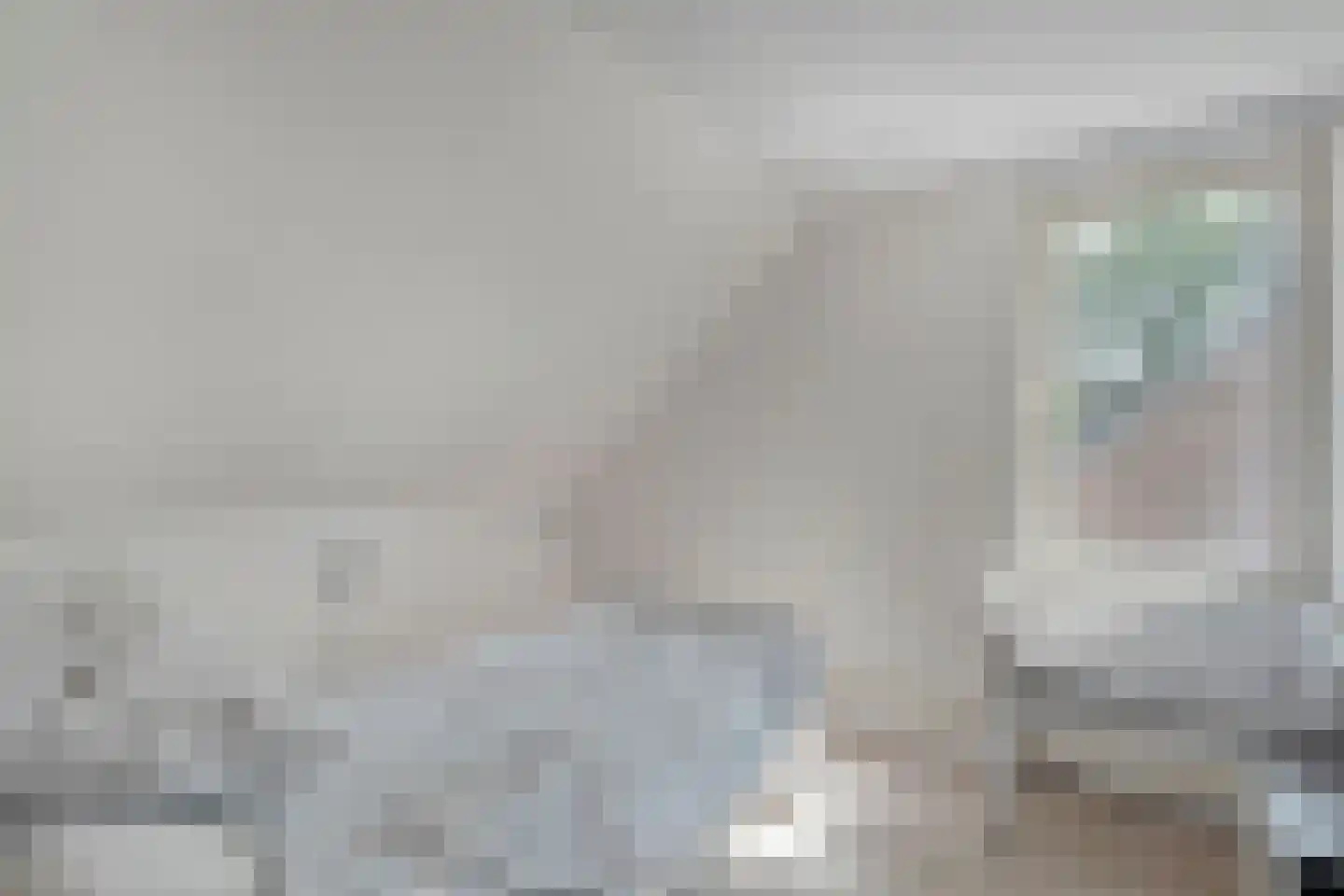 Waardeel 32 Meppel thumbnail 23