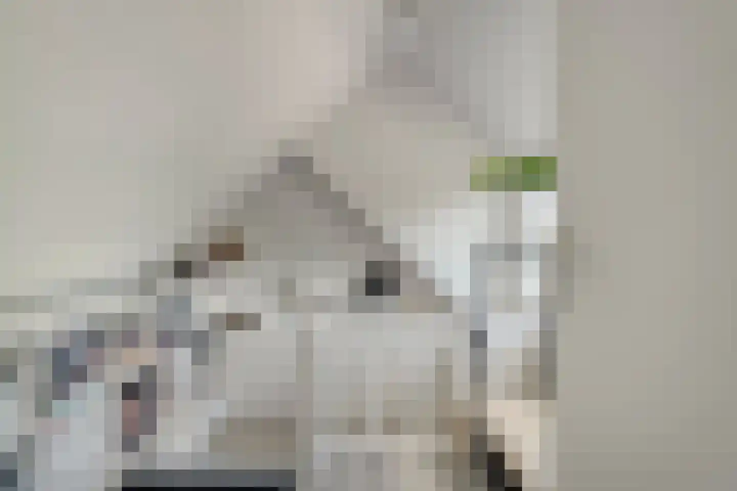 Waardeel 32 Meppel thumbnail 27
