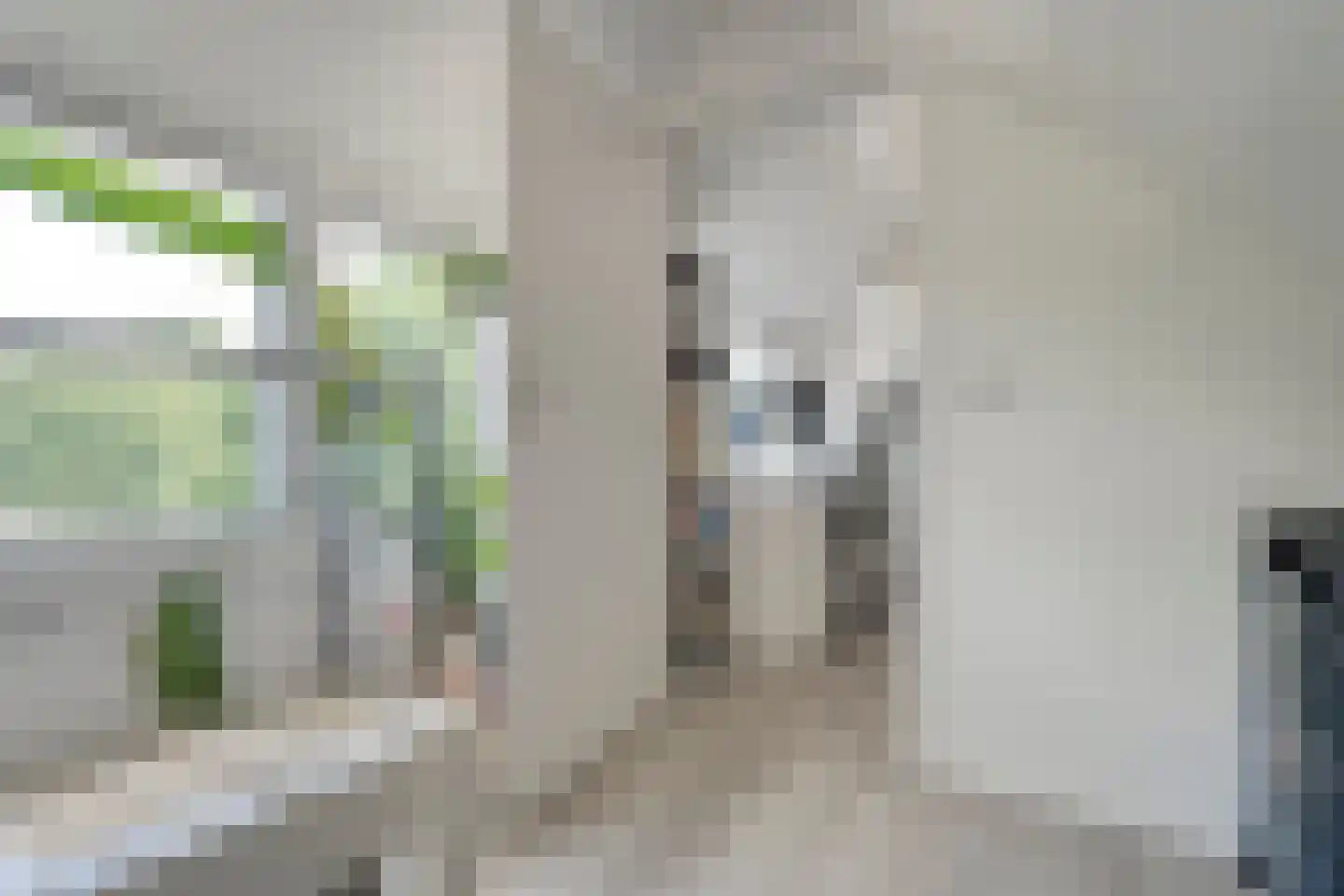 Waardeel 32 Meppel thumbnail 28