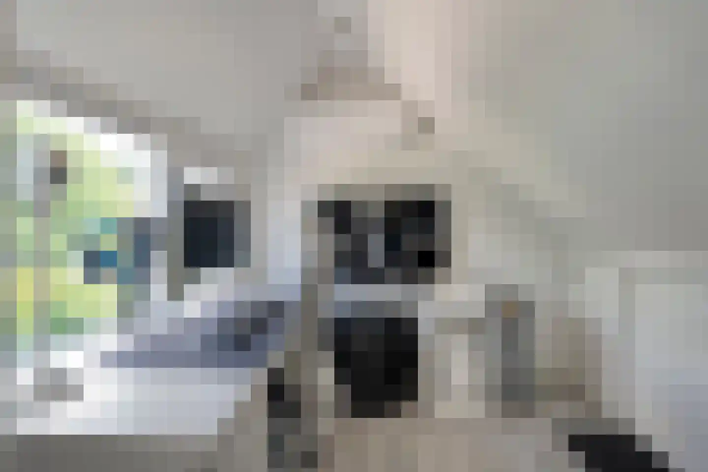 Waardeel 32 Meppel thumbnail 29