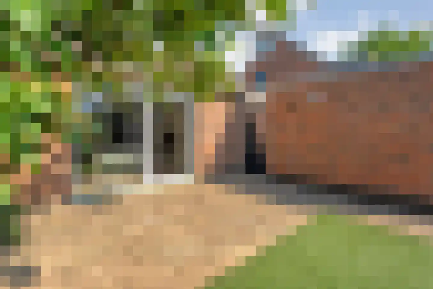 Waardeel 32 Meppel thumbnail 36