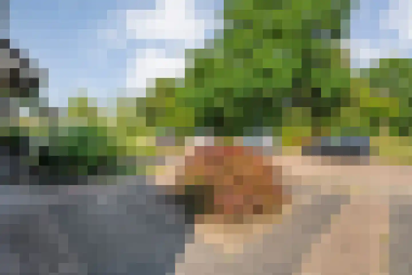 Waardeel 32 Meppel thumbnail 44
