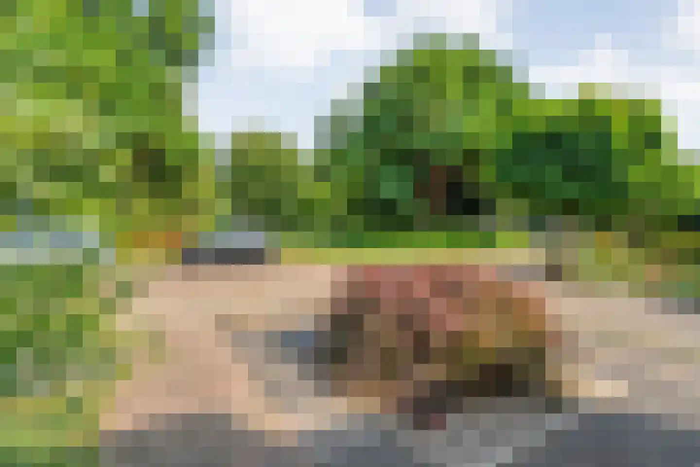Waardeel 32 Meppel thumbnail 45