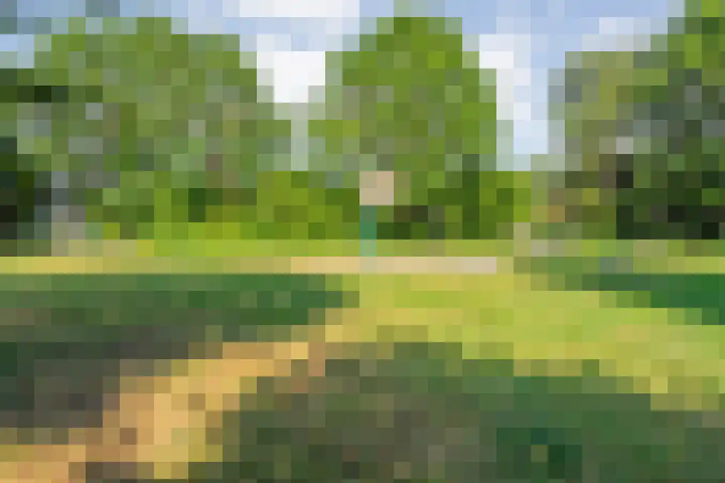 Waardeel 32 Meppel thumbnail 47