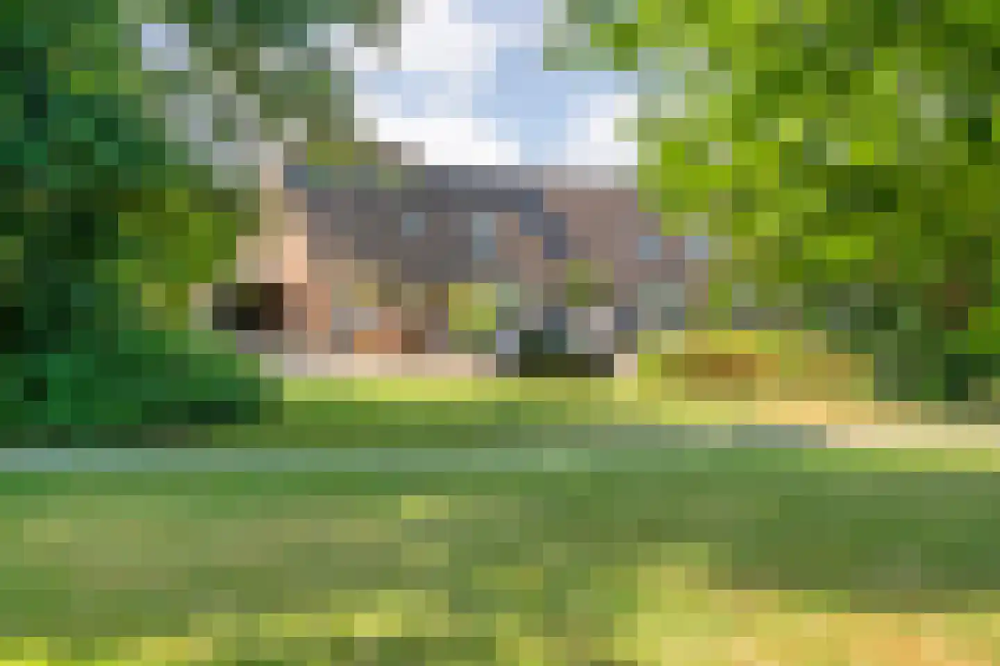 Waardeel 32 Meppel thumbnail 48