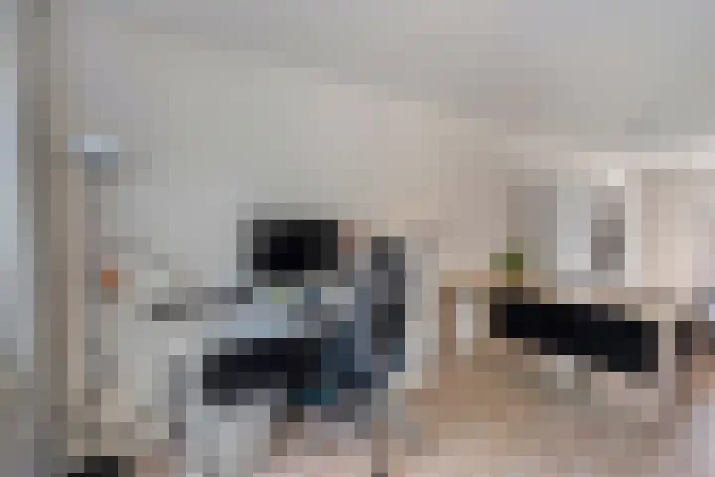 Waardeel 32 Meppel thumbnail 8