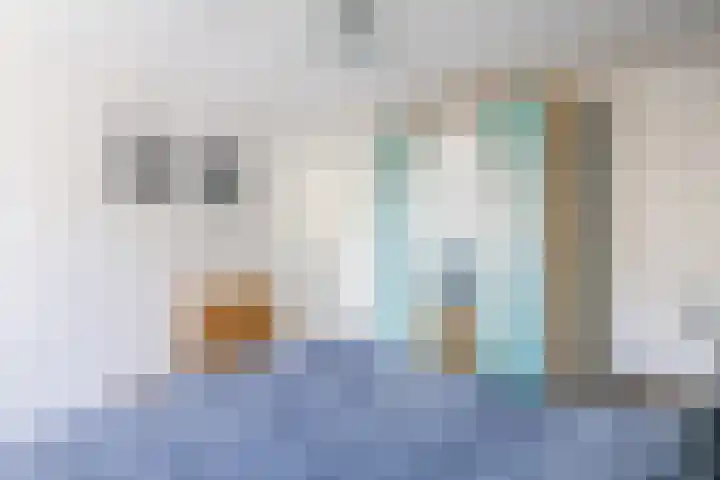Waardeel 40 Meppel thumbnail 13