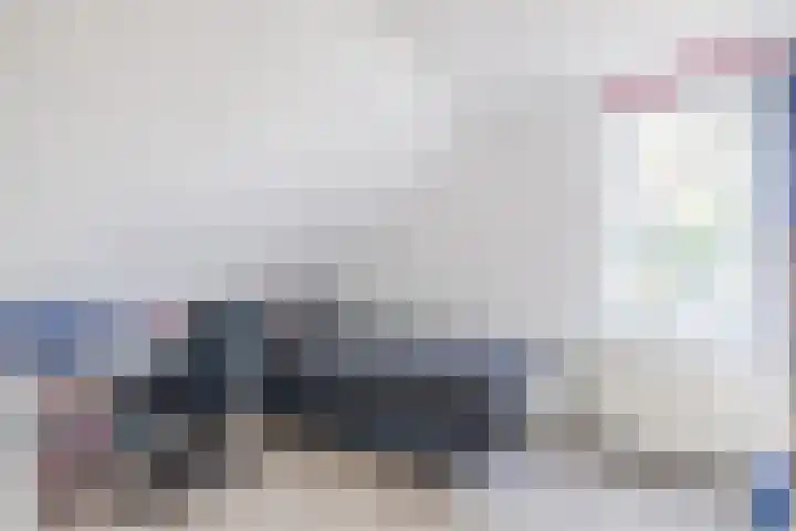 Waardeel 40 Meppel thumbnail 14
