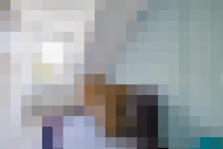 Waardeel 40 Meppel thumbnail 17