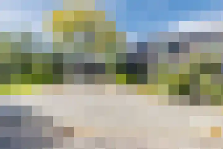Waardeel 40 Meppel thumbnail 23