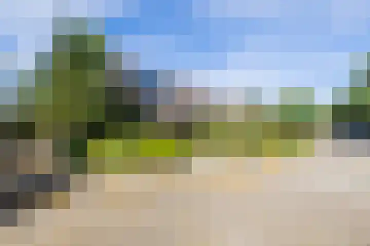 Waardeel 40 Meppel thumbnail 24