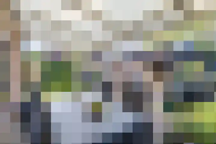 Waardeel 40 Meppel thumbnail 25