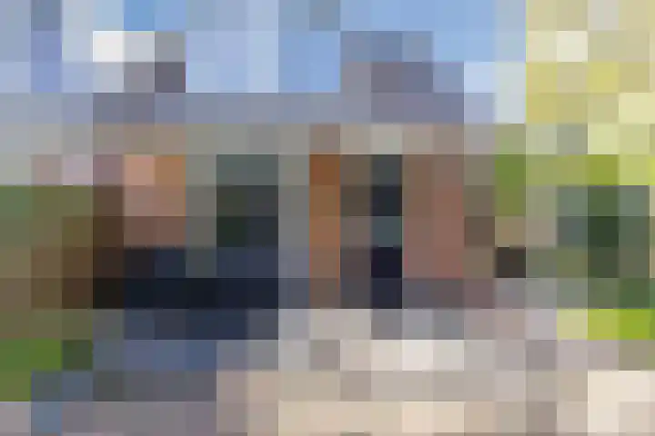 Waardeel 40 Meppel thumbnail 26