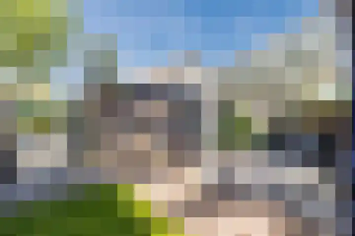 Waardeel 40 Meppel thumbnail 27