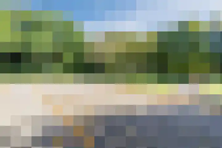 Waardeel 40 Meppel thumbnail 29