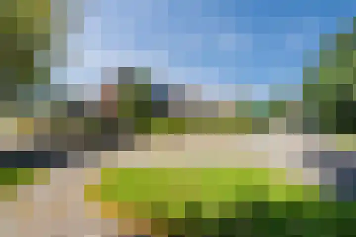 Waardeel 40 Meppel thumbnail 30